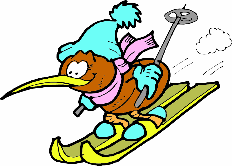 A Kiwi Bird skiing