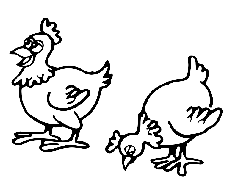 Two Chickens