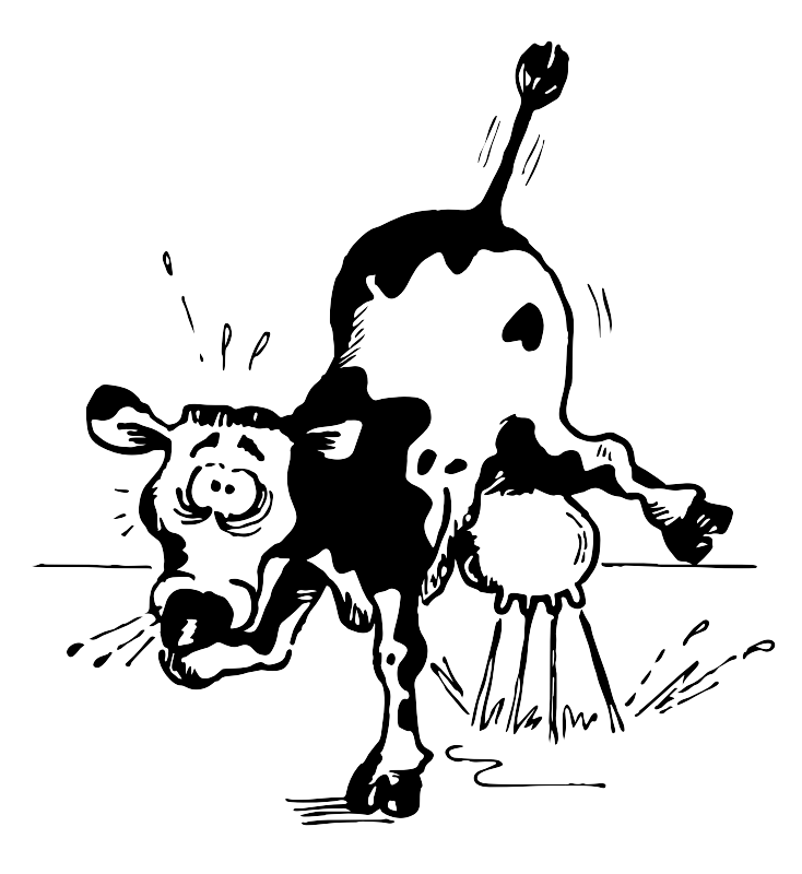 Sneezing Cow