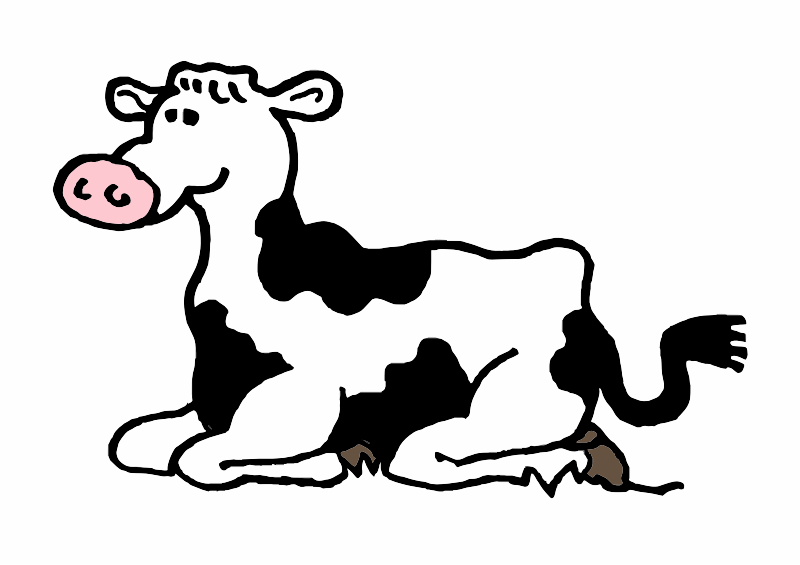 A Friesian Cow lying down