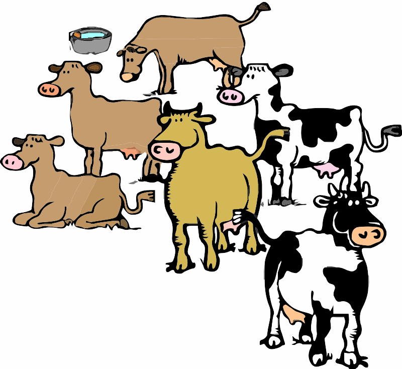 Cattle Herd Clipart Cows Show Cattle Clip Art Flyclipart My Xxx Hot Girl 4116