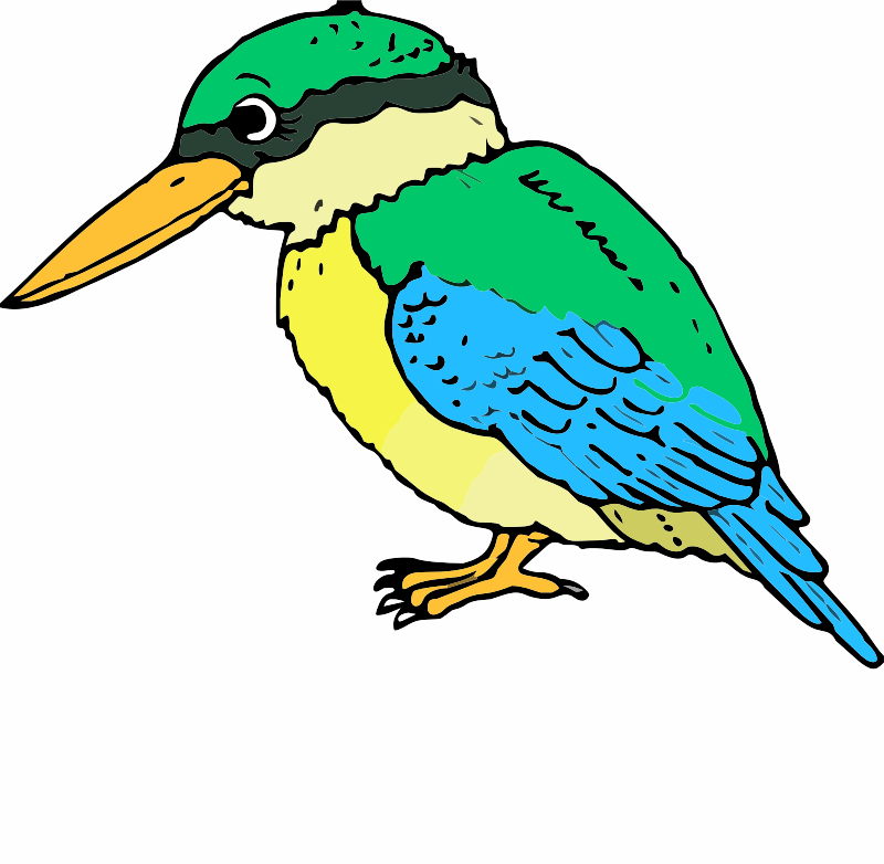 A Kingfisher