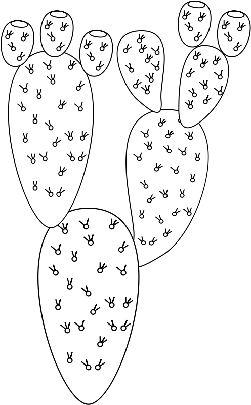 Opuntia ficus-indica