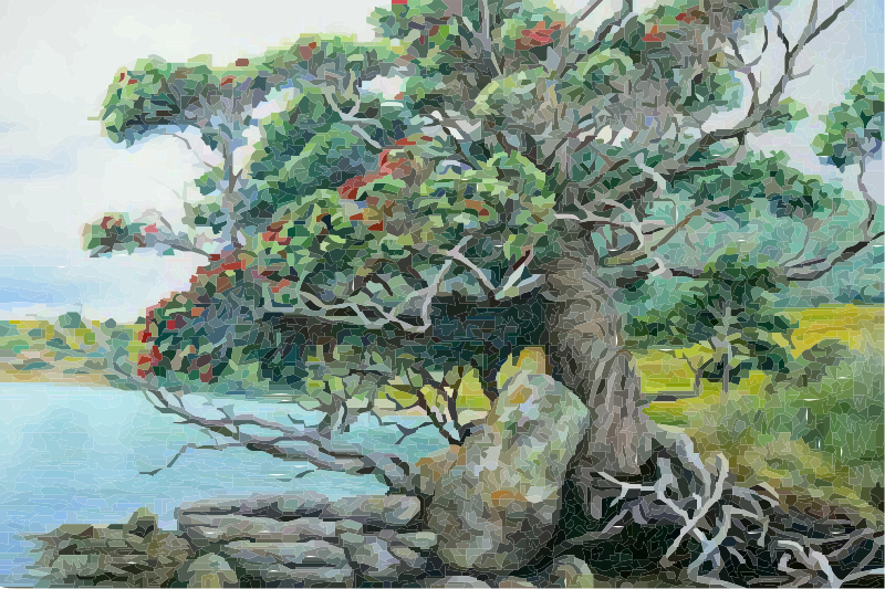 A Pohutukawa Tree