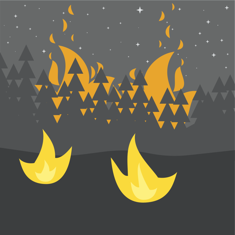 Night Forest Fires