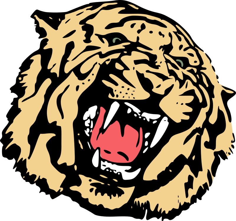 Tiger head