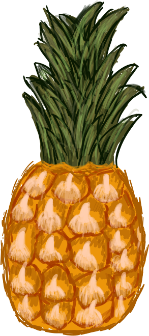 Pineapple