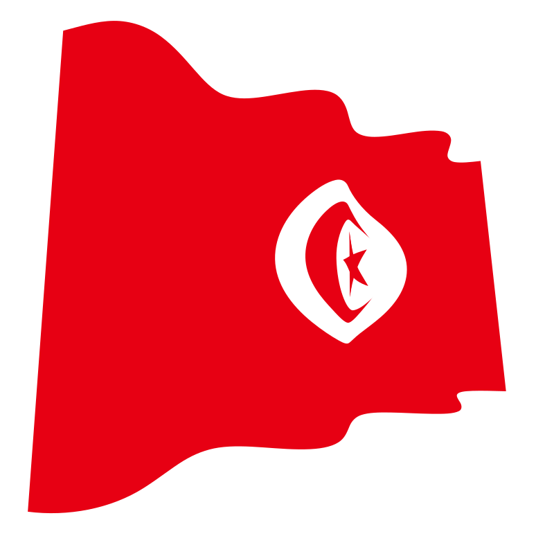 Tunisia waving flag