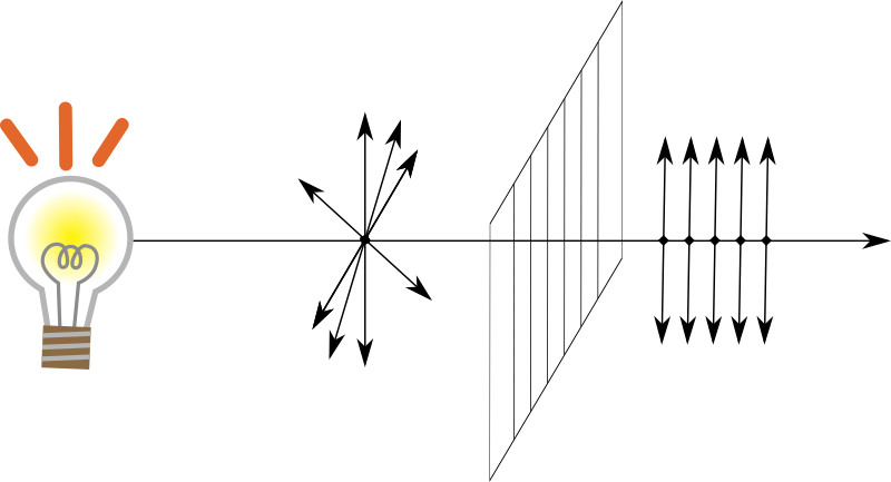 Vertically polarized light