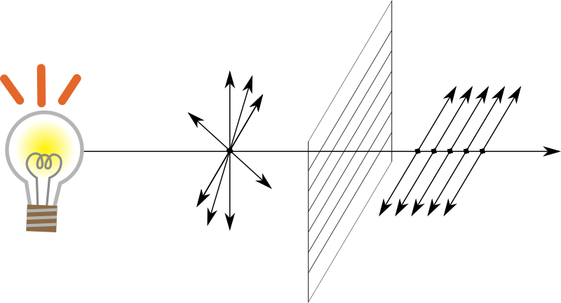 Horizontal polarized light