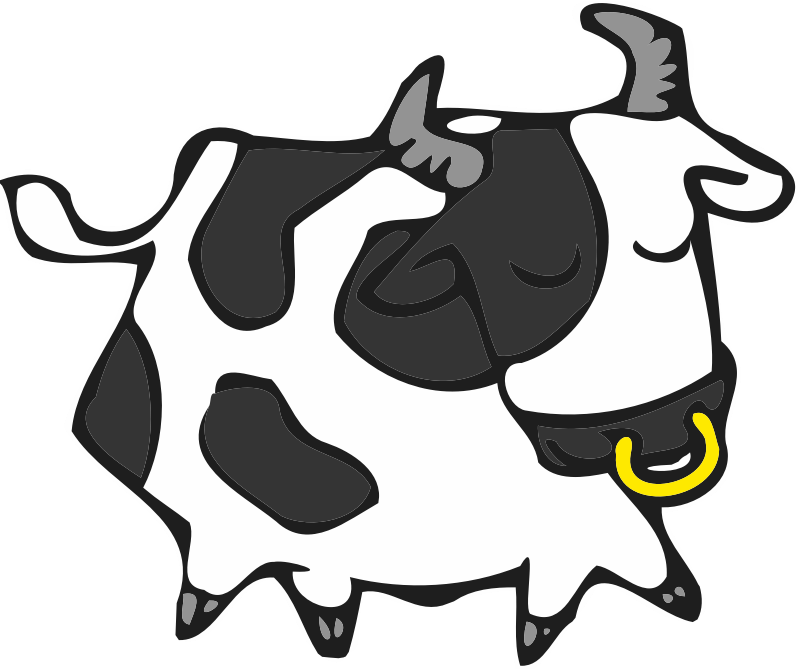 cute cow or bull
