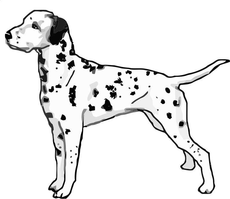 dalmatian-standing-openclipart