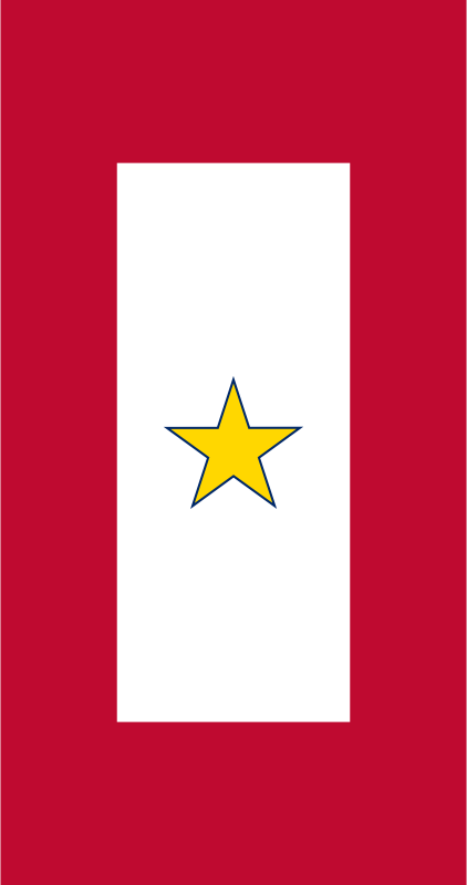 Gold Star Service Banner