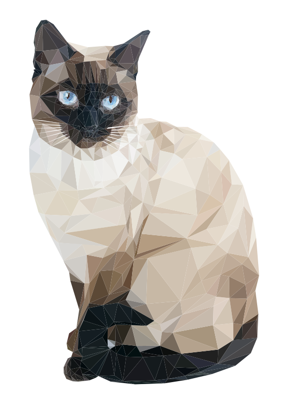 Low Poly Cat