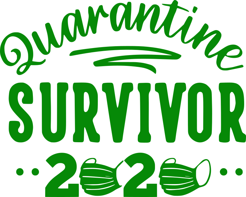 Quarantine survivor 2020