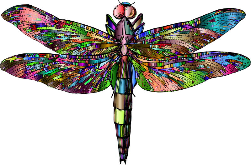 Antique Dragonfly Chromatic