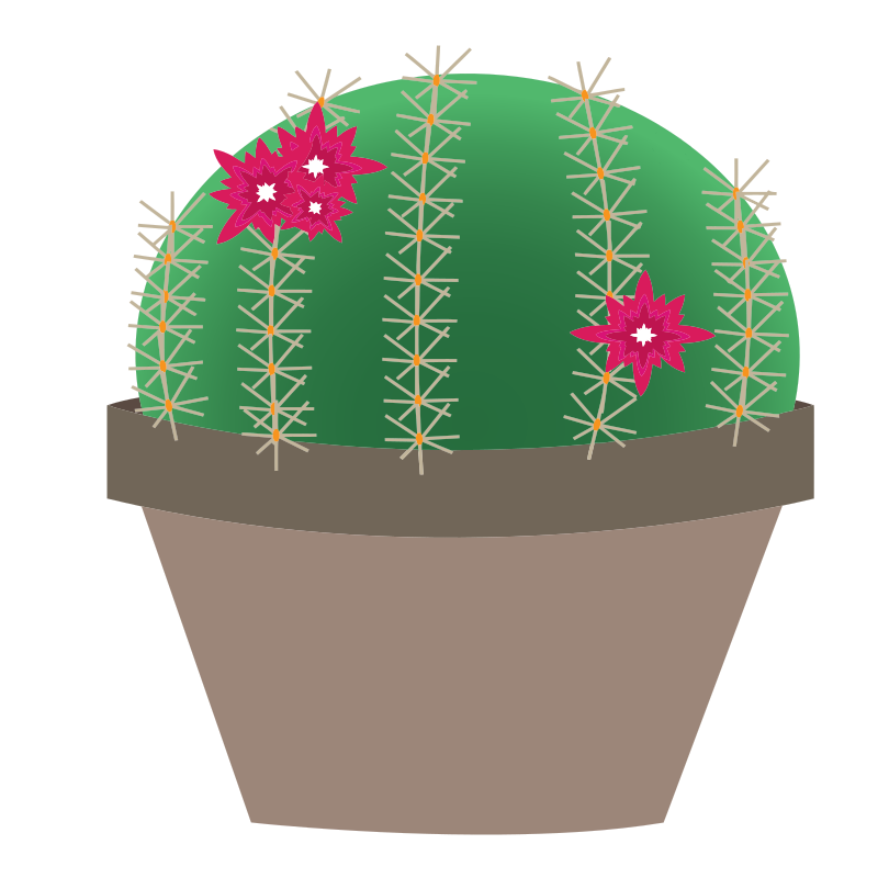 Blooming Cactus