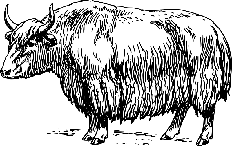 black and white yak clipart