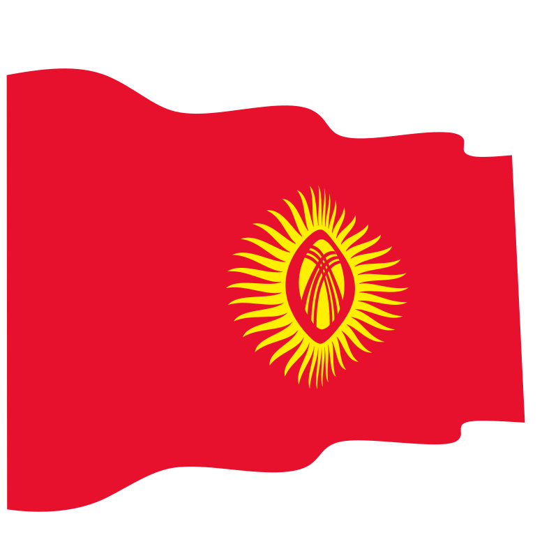 Flag org. Флаг Кыргызской Республики. Kyrgyzstan флаг. Флаг Киргизии вектор. Флаг Киргизии флаг Киргизии.