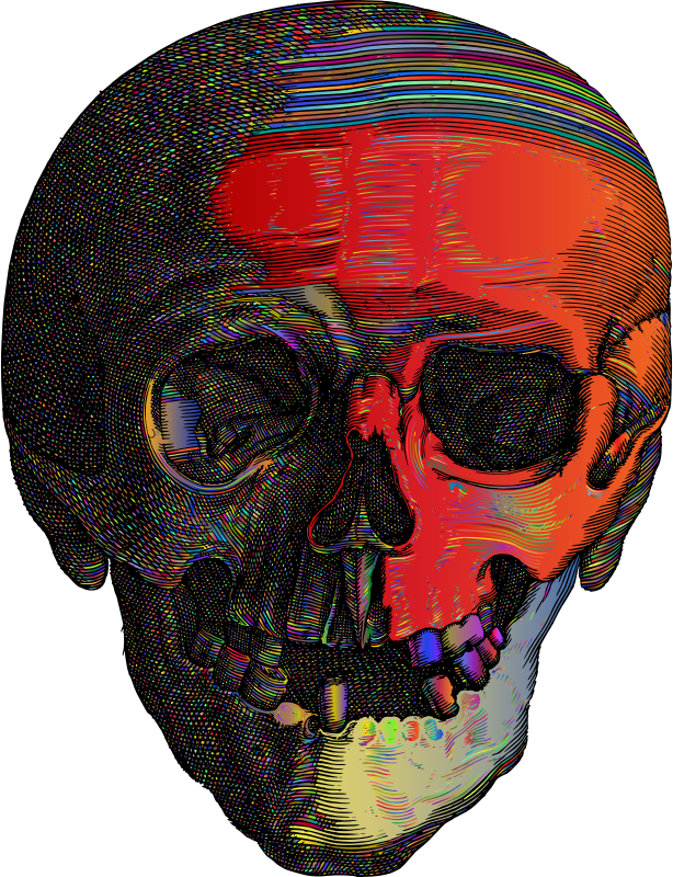 Detailed Skull Line Art Polyprismatic