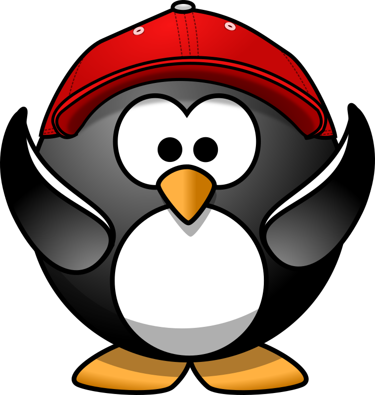 Happy penguin with cap