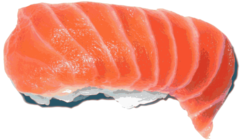 Salmon Sushi