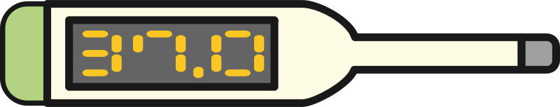 Digital Thermometer