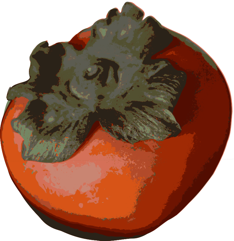 Persimmon