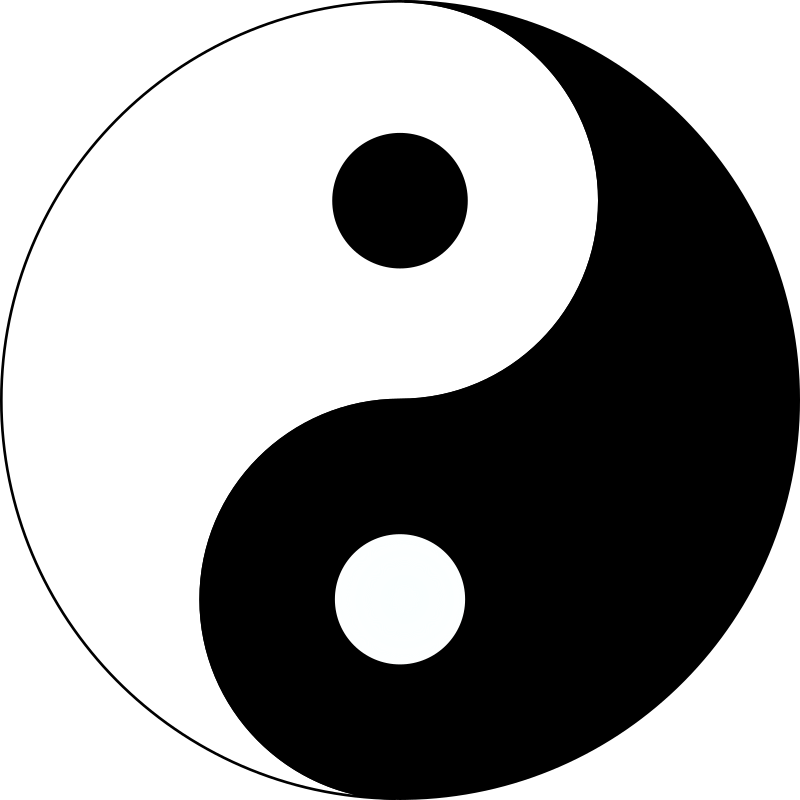 BASIC YIN-YANG