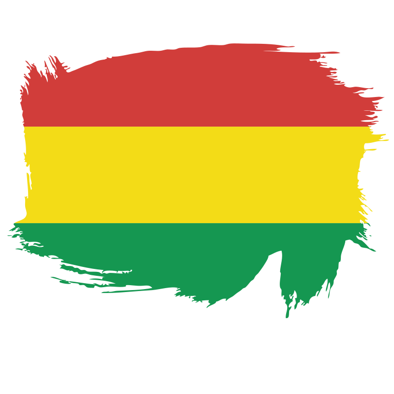 Flag of the State of Bolivia brush