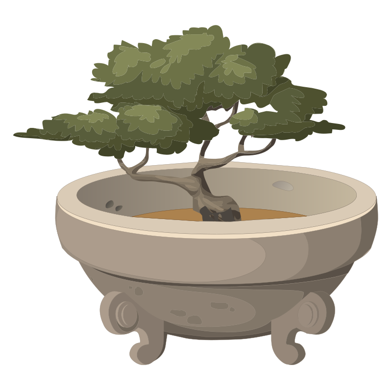 Bonsai in a Pot