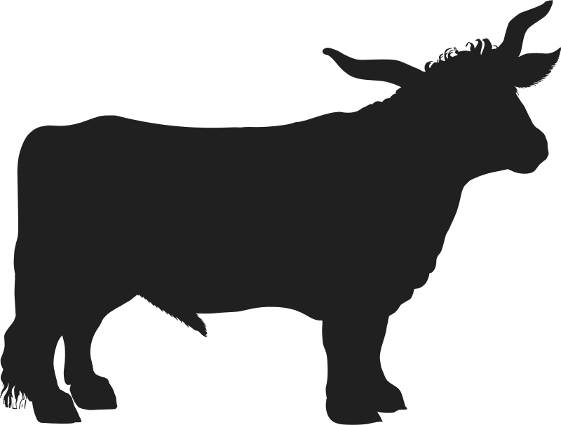 Vintage Ox Silhouette