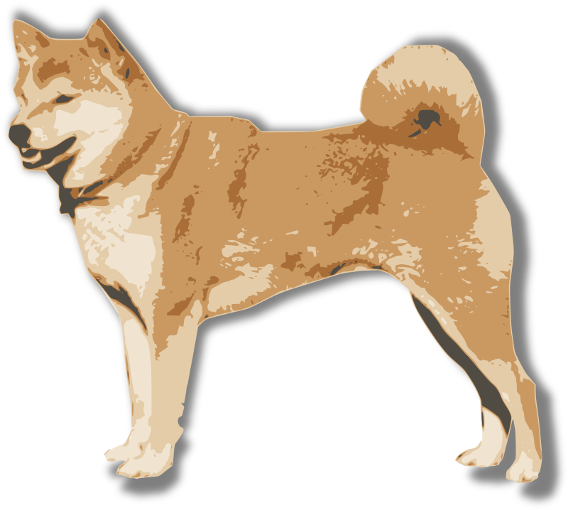 Shiba Inu