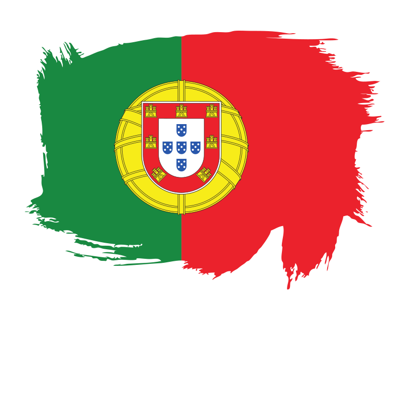 Painted flag of Portugal