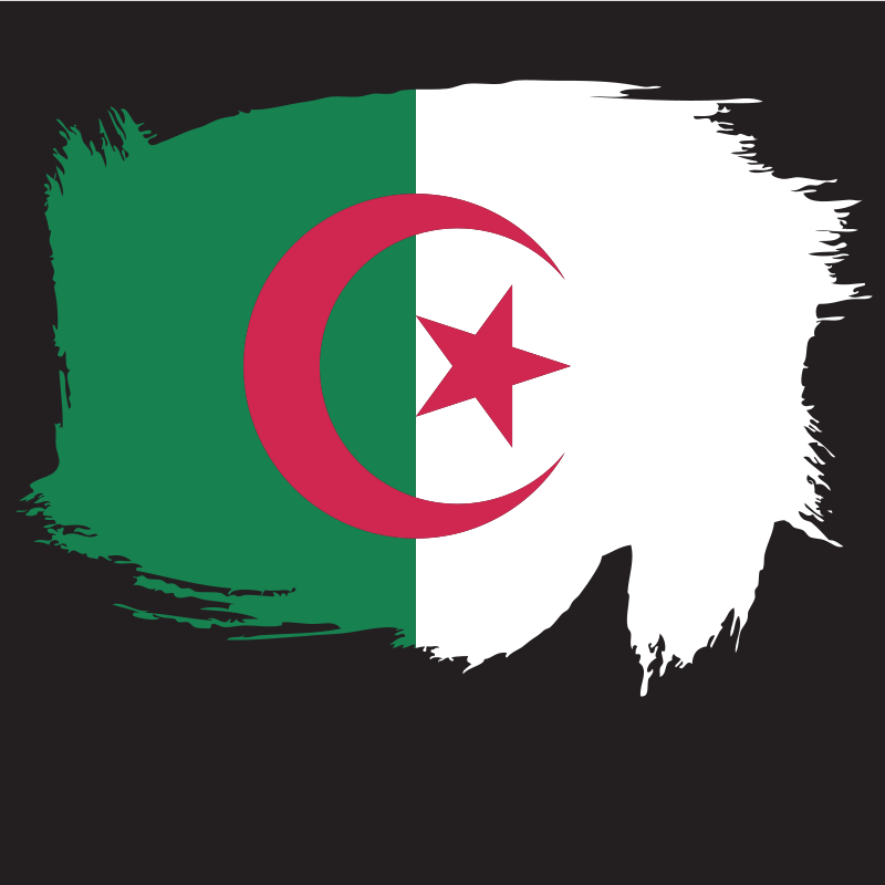 Painted flag of Algeria