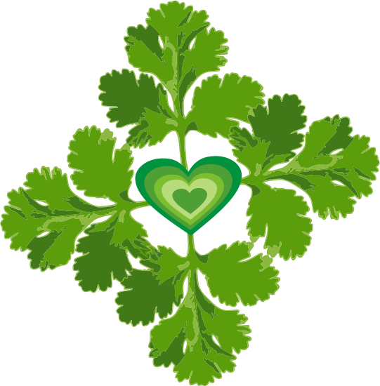 cilantro clipart