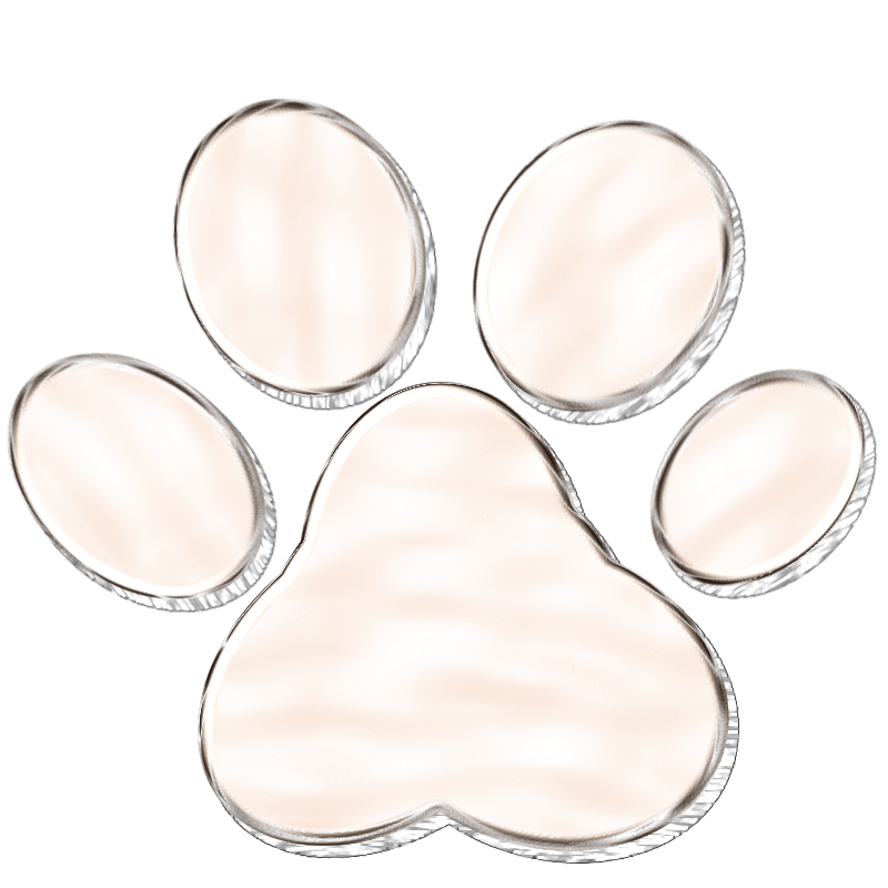 Dog paw