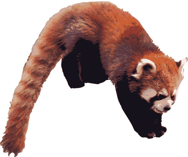 Red Panda