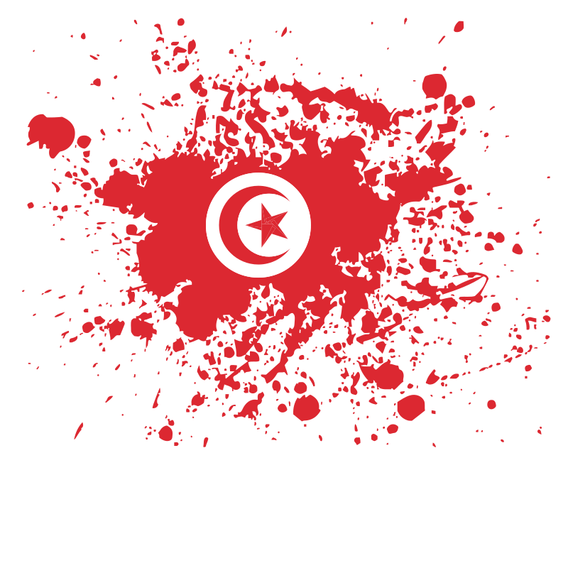 Tunisian flag ink blot