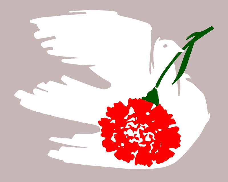 Dove with carnation