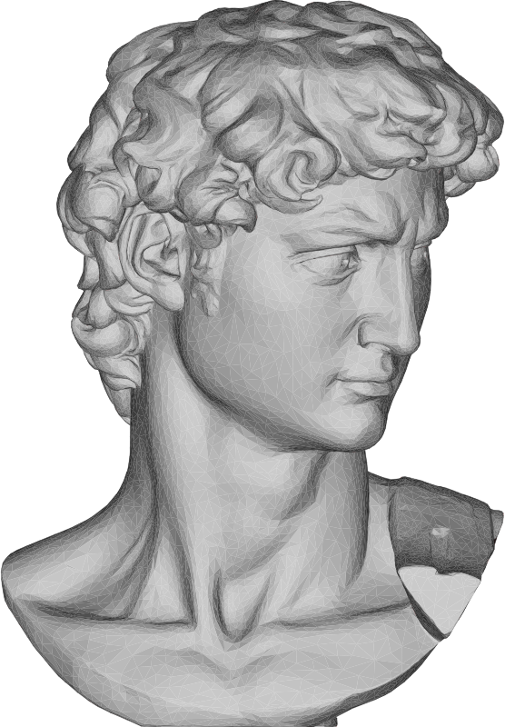 Michelangelo's David Bust 3D