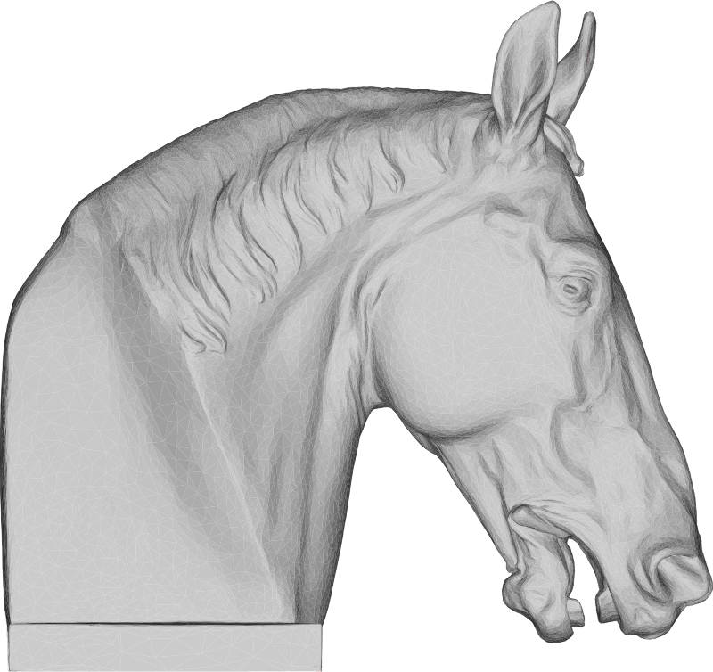 Horse Head 3D