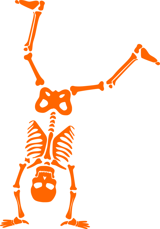 Halloween skeleton