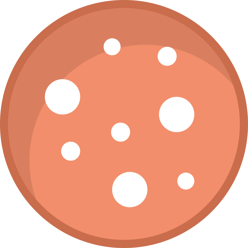 Mortadella