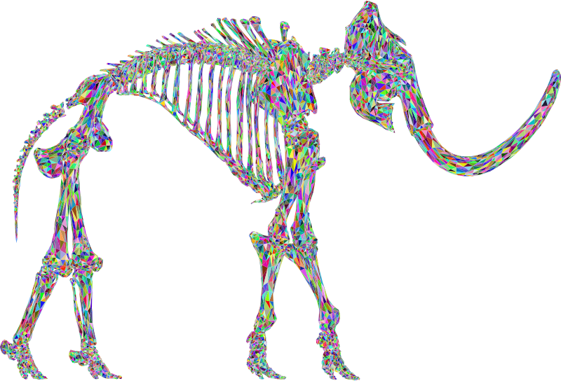 Mammoth Skeleton 3D Colorful