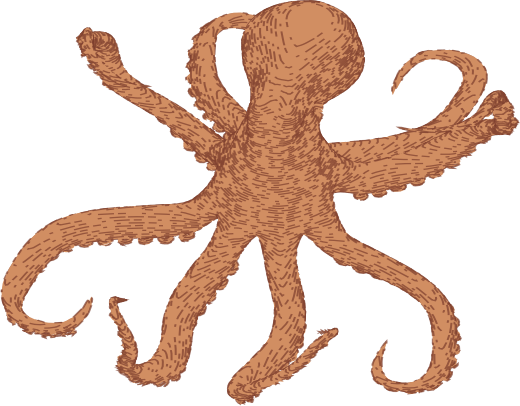 Animated Octopus