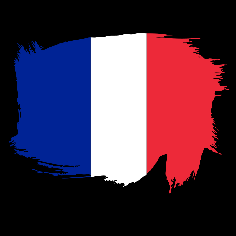 Painted flag of France