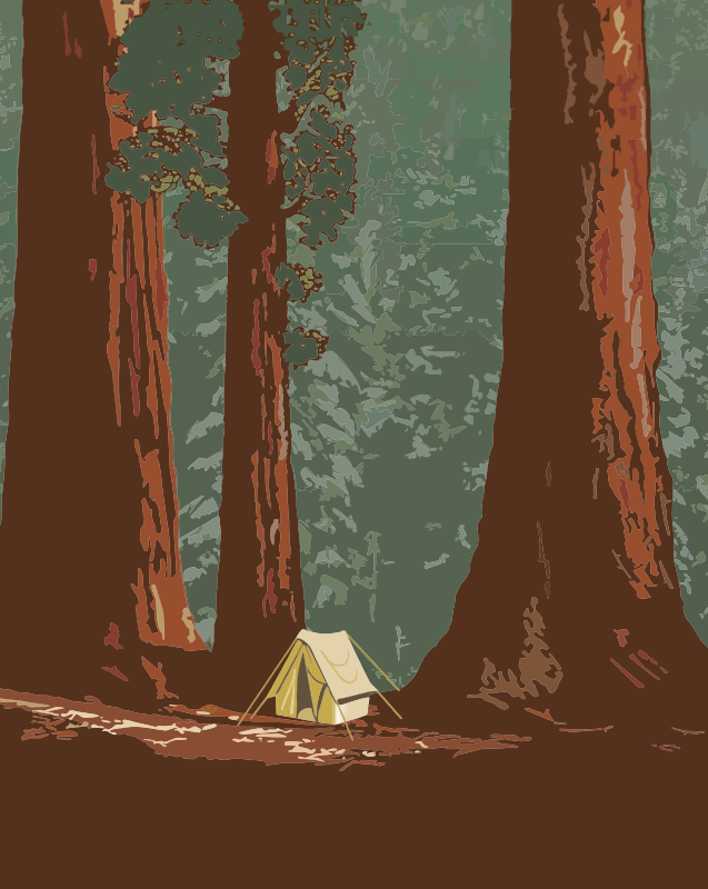 Camping in the Forest