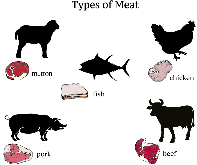 types-of-meat-openclipart