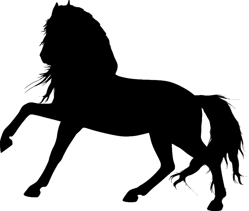 Horse silhouette